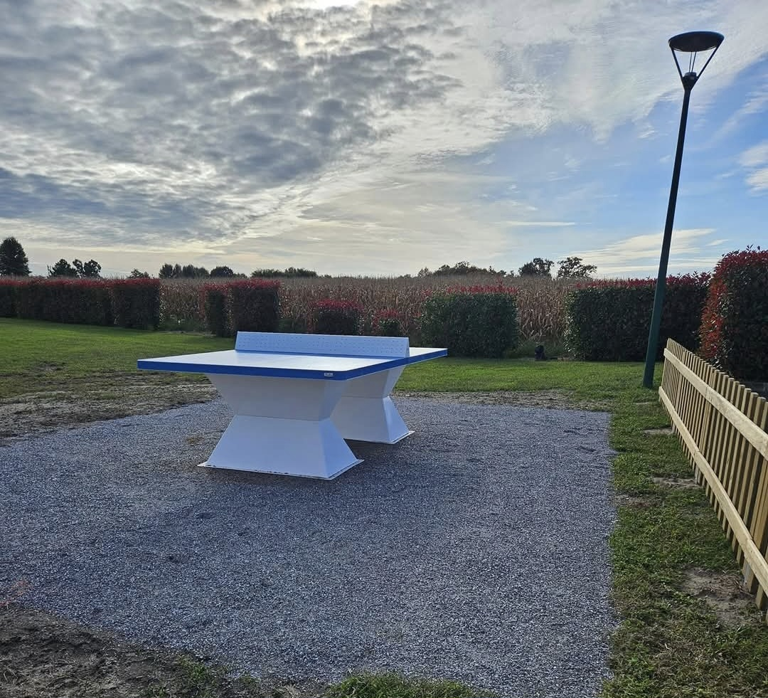 TABLE PING PONG.jpg