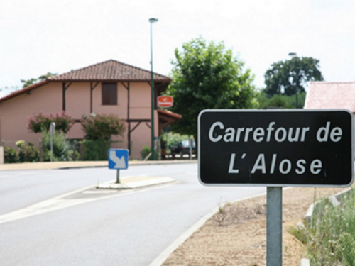CARREFOUR DE L'ALOSE (2).jpg